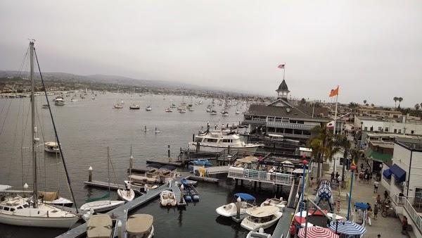 Imagen 1 Telepizza foto