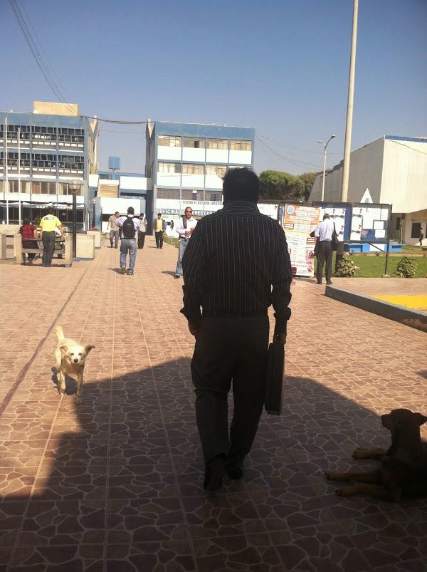 Imagen 5 Alpargatas Viguera, S.L. foto