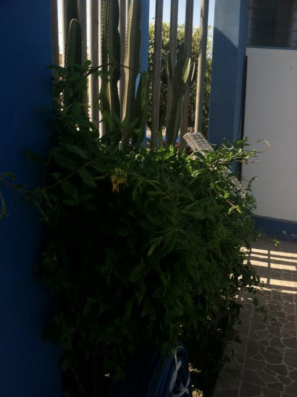 Imagen 8 Alpargatas Viguera, S.L. foto