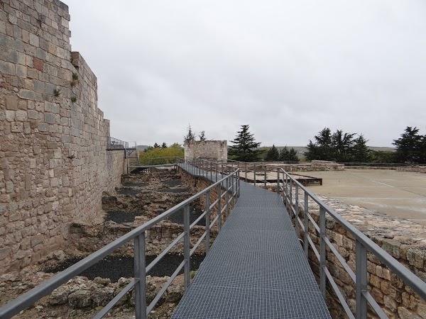 Imagen 4 Cefrusa Servicios Frigoríficos foto