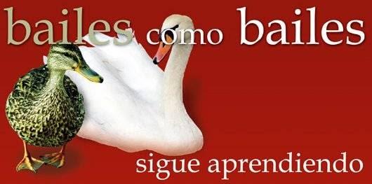 Imagen 34 Bamaro foto