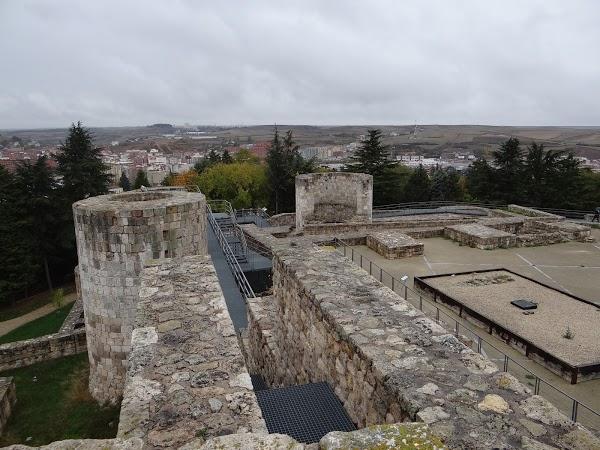 Imagen 5 Cefrusa Servicios Frigoríficos foto