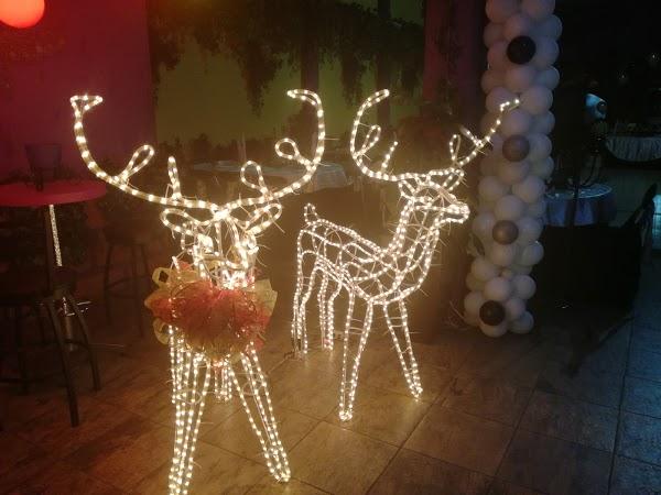 Imagen 77 Salon de Fiestas La Jungla foto