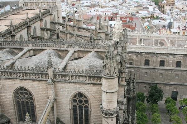 Imagen 11 Zapatotes foto