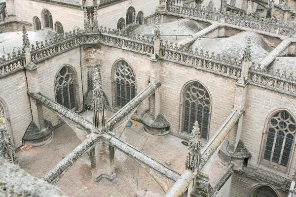 Imagen 101 Zapatotes foto