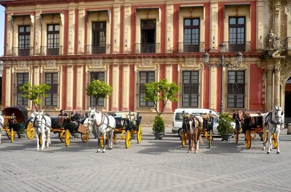 Imagen 105 Zapatotes foto