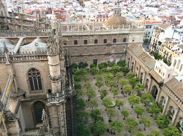 Imagen 106 Zapatotes foto