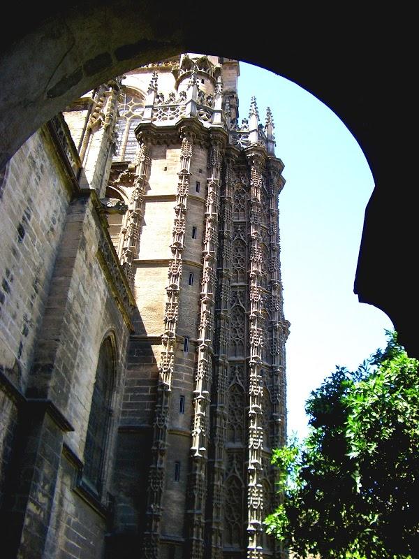 Imagen 107 Zapatotes foto