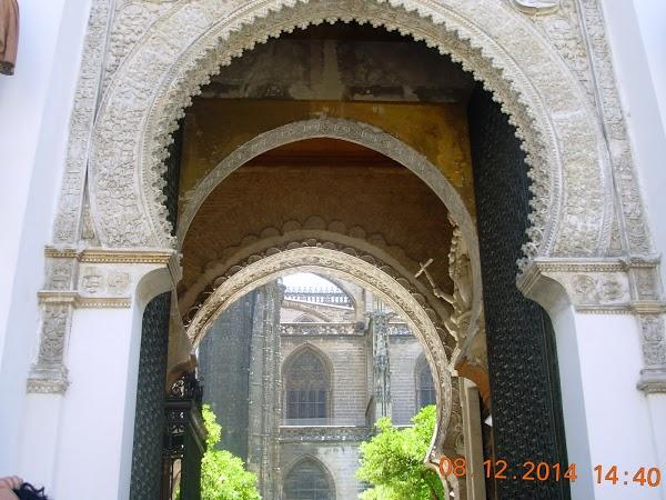 Imagen 108 Zapatotes foto