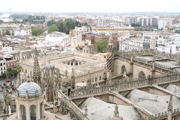 Imagen 12 Zapatotes foto