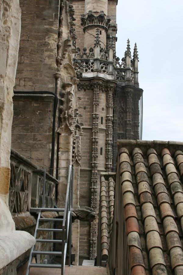 Imagen 13 Zapatotes foto