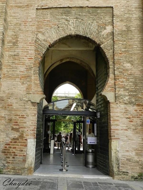 Imagen 129 Zapatotes foto