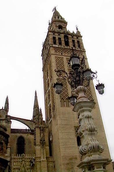 Imagen 130 Zapatotes foto