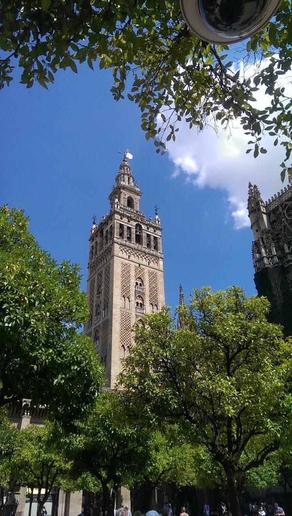 Imagen 137 Zapatotes foto