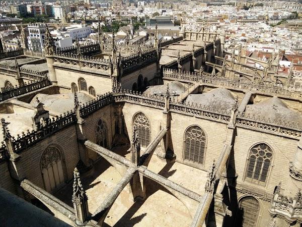 Imagen 139 Zapatotes foto