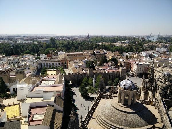 Imagen 142 Zapatotes foto