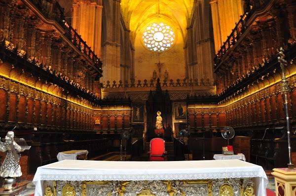 Imagen 151 Zapatotes foto