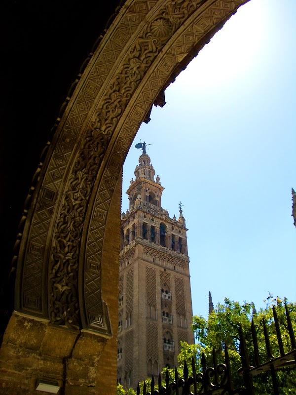 Imagen 155 La Giralda foto