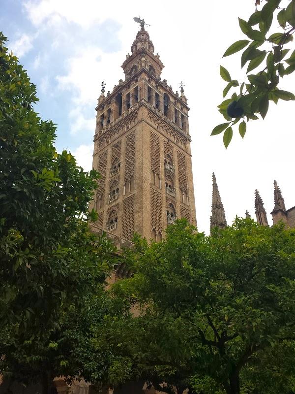 Imagen 156 La Giralda foto