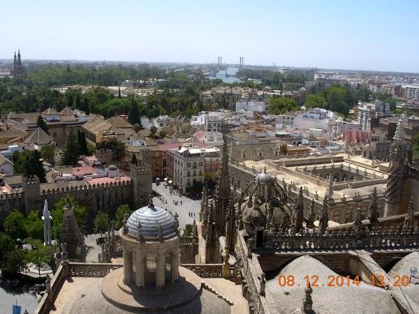 Imagen 157 La Giralda foto