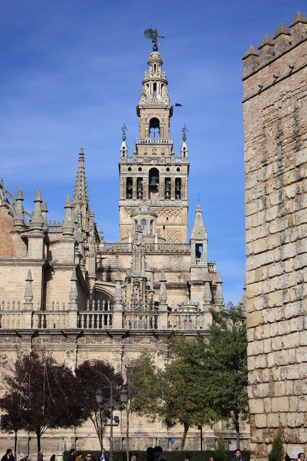 Imagen 159 La Giralda foto