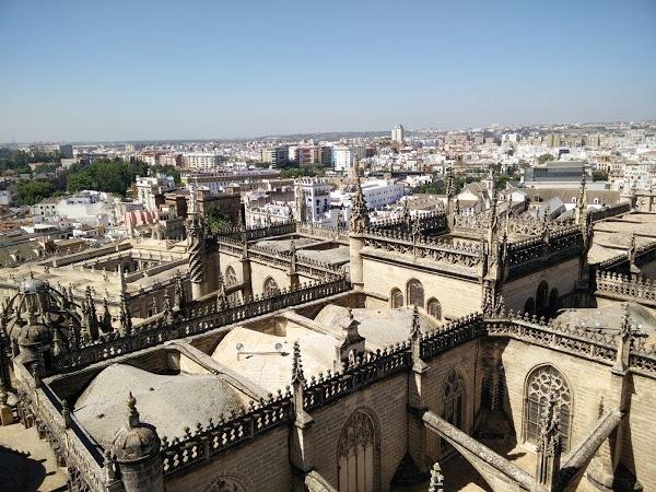 Imagen 160 La Giralda foto
