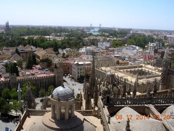 Imagen 164 La Giralda foto