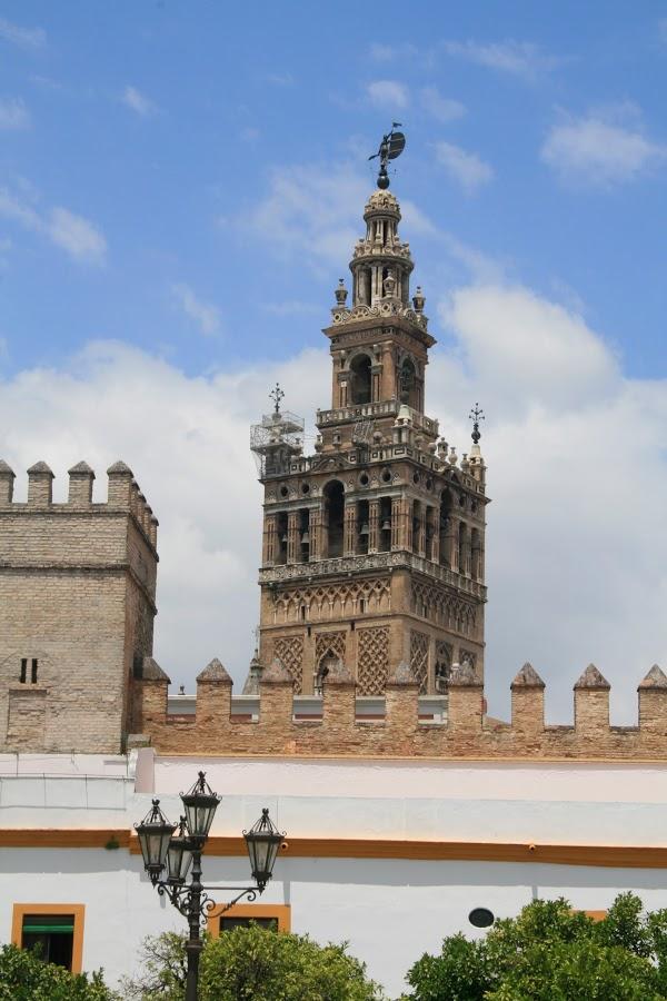 Imagen 166 La Giralda foto