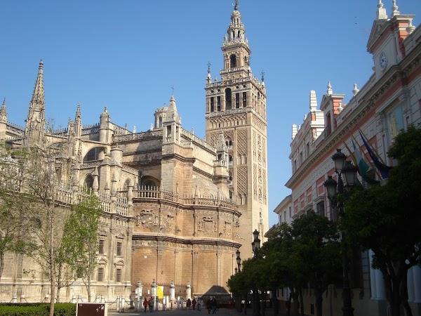 Imagen 176 La Giralda foto