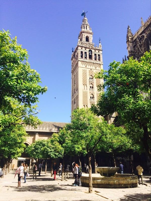 Imagen 181 La Giralda foto
