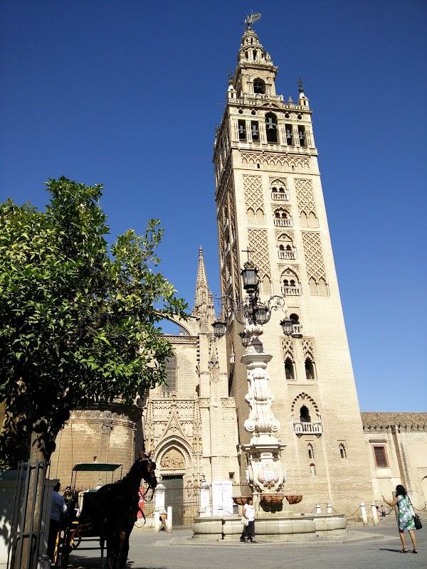 Imagen 184 La Giralda foto