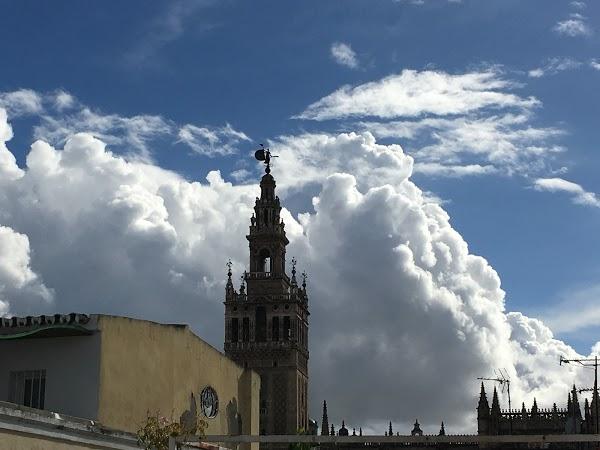 Imagen 204 La Giralda foto