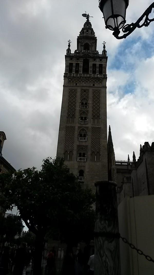 Imagen 36 Zapatotes foto