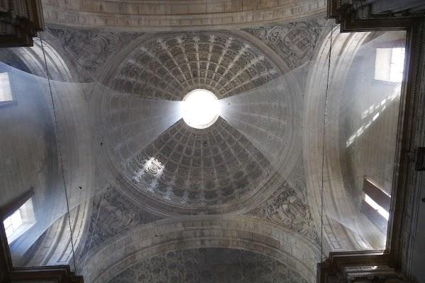 Imagen 44 Zapatotes foto