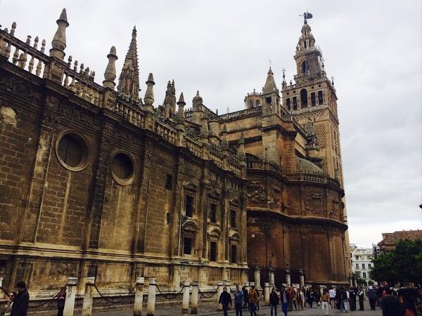 Imagen 49 Zapatotes foto