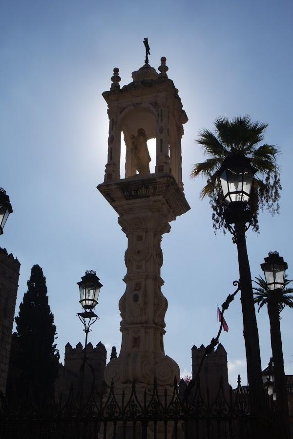 Imagen 55 Zapatotes foto