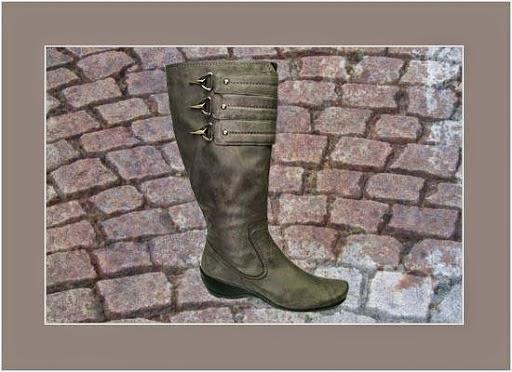 Imagen 7 Zapatotes foto