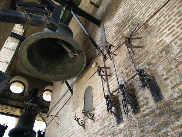 Imagen 88 Zapatotes foto