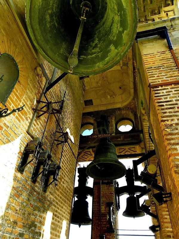 Imagen 90 Zapatotes foto