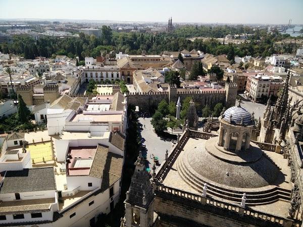 Imagen 93 Zapatotes foto