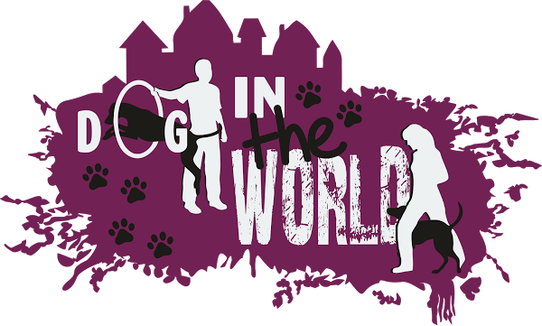 Imagen 7 Restaurante Aquí Te Espero foto