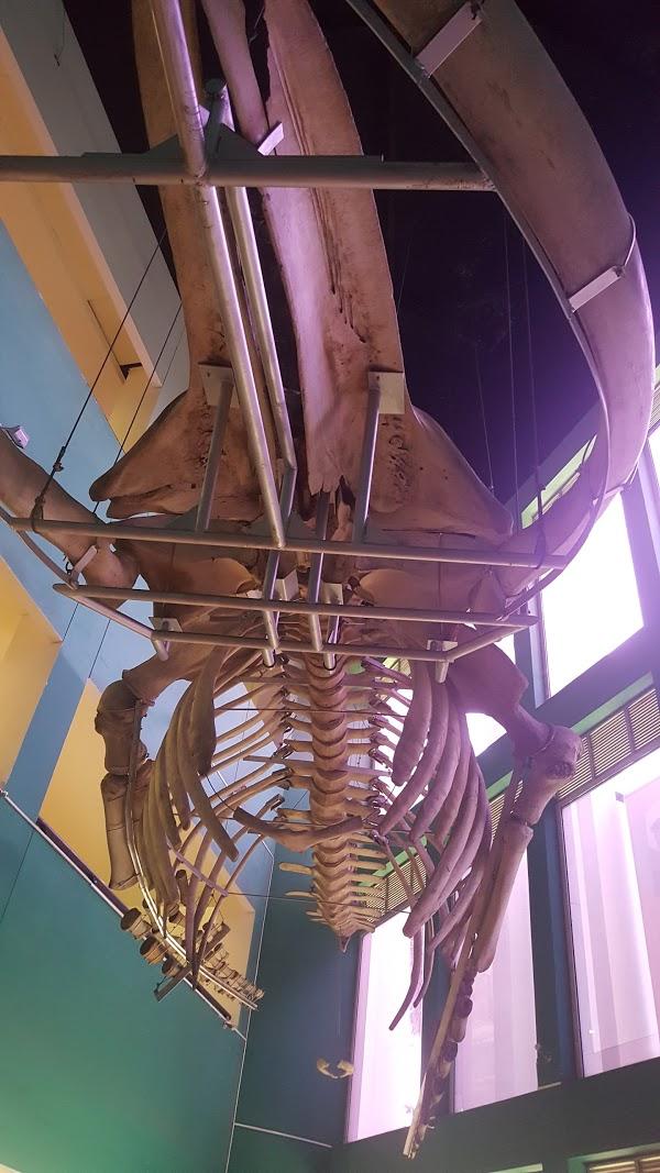 Imagen 70 Centro de Fisioterapia & Medicina Deportiva Maider Figueroa foto