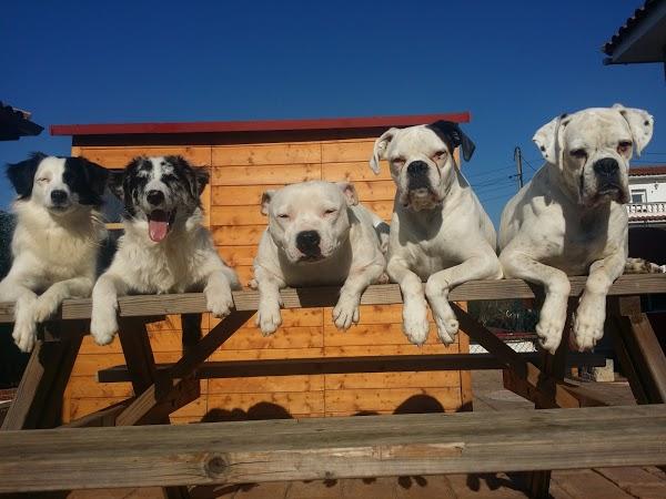 Imagen 8 Restaurante Aquí Te Espero foto