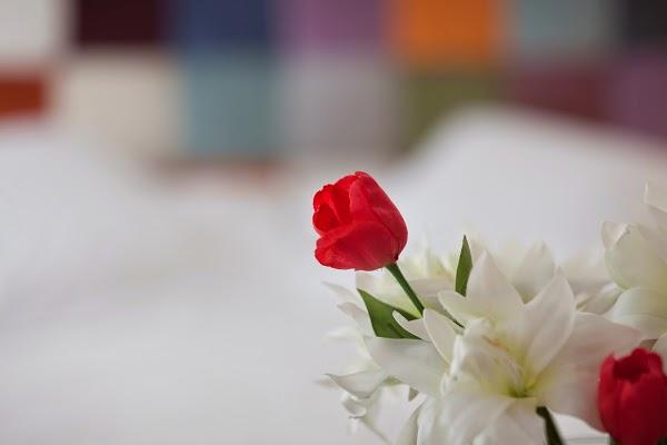 Imagen 40 Simply foto