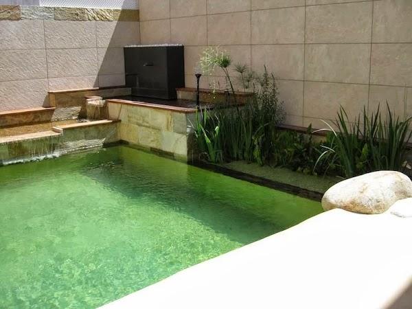 Imagen 1 SARGA PTR foto