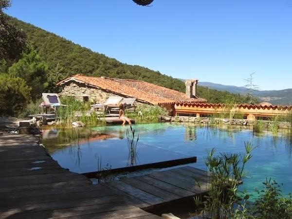 Imagen 2 SARGA PTR foto