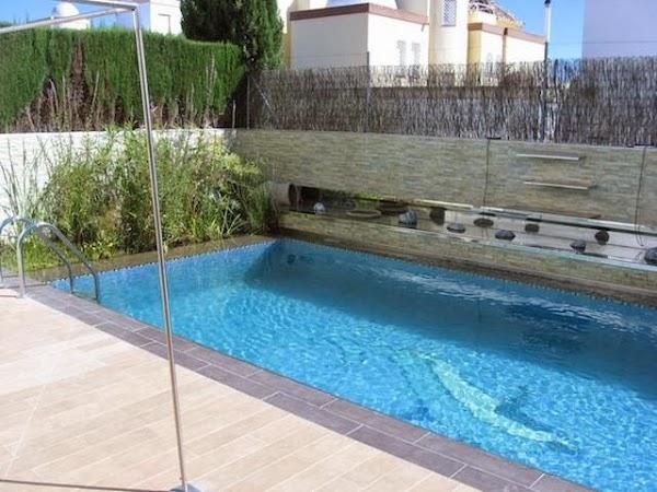 Imagen 5 SARGA PTR foto