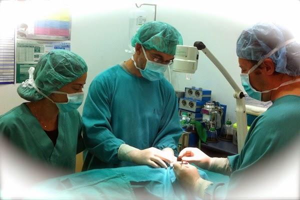 Imagen 32 Telepizza foto