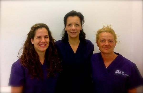 Imagen 35 Telepizza foto