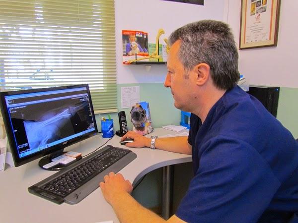 Imagen 37 Telepizza foto